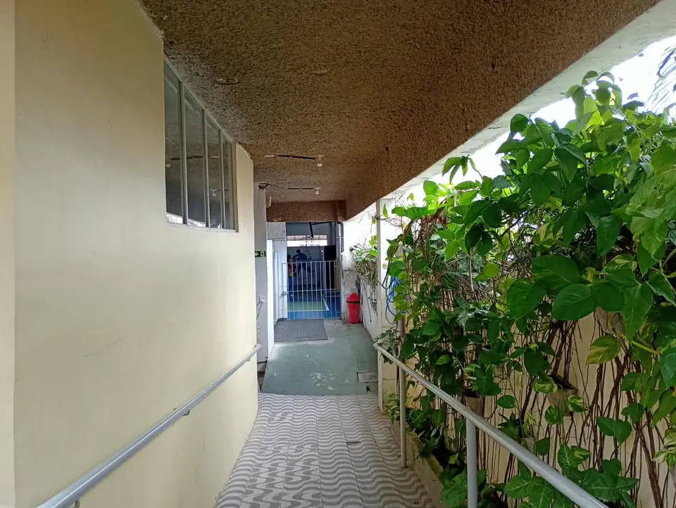 Corredor externo da escola com plantas ao lado das salas